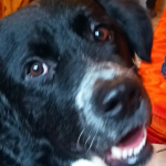 Marilù